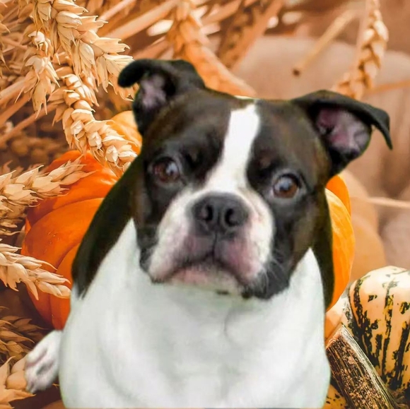 Meet your Posher, Justin - Picture 4 of 6